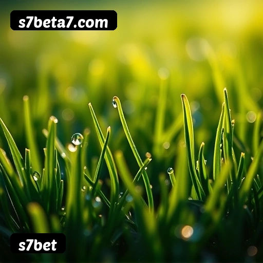 Jogo responsável s7bet - Ferramentas de controle, limites, auto-exclusão, suporte CVV 188